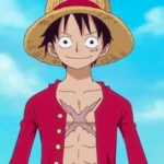 Balao Luffy